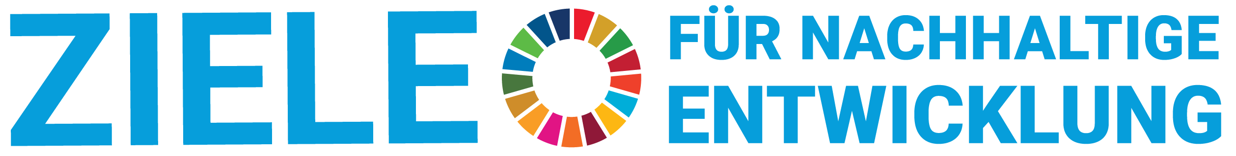 SDG logo DE No UN Emblem WEB Transparent 01